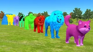 Long Slide Game With Elephant Gorilla Buffalo Hippopotamus Tiger - 3d Animal Game - Pratik Animation