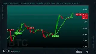 BITCOIN LIVE CHART ( 1 HOUR TIME FRAME )