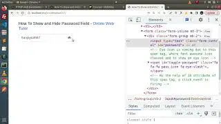 How To Show and Hide Password Field Text Using jQuery || How to Create Show Hide Password Function