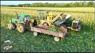 Picking & Packing Sweet Corn | Columbiana Ohio