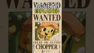 Why Chopper’s Bounty is SO SMALL…