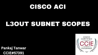 CISCO ACI ( L3out subnet scope export import route control and external subnet for external epg)