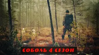 Соболь 4 сезон, 6 серия, Как соболь превратился в белку, Над нами смеется сам дух тайги!