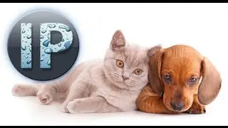 Photoshop Elements Tutorial Magic Extractor Tool InfoPuppet