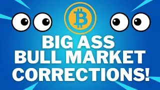 BULL MARKET 70% CORRECTIONS - BTC PRICE PREDICTION - SHOULD I BUY BTC - BITCOIN ANALYSIS!