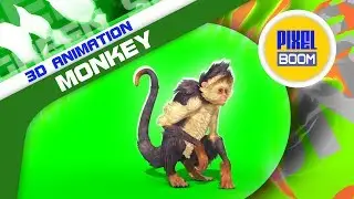 Green Screen Monkey Walks Runs Attacks Dies - footage PixelBoom