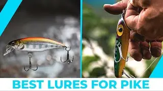 Best Lures for Pike – Complete Round-Up!