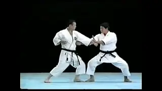 Шито-рю каратэ.Ката Нипайпо и бункай.Nipaipo bunkai kata Shito Ryu