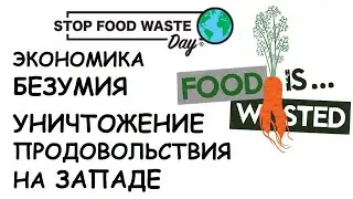 Мусорные баки ПРОДУКТОВЫХ МАГАЗИНОВ: ПРОДАТЬ НЕЛЬЗЯ ПОЖЕРТВОВАТЬ. Экономика БЕЗУМИЯ.