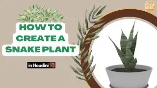 Procedurally Model Pot & Snake Plant | Houdini Tutorial