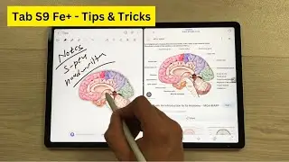 Samsung Galaxy Tab S9 Fe+ - Top 5 Best Tips & Tricks