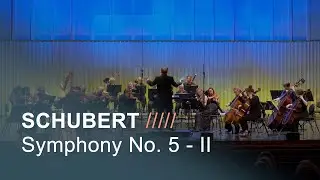 SCHUBERT - Symphony No. 5 in B♭ major, D. 485 - II: Andante con moto