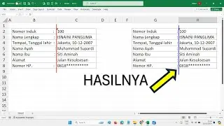 Cara Membuat Titik Dua Yang Lurus, Rapi dan Sejajar di Excel