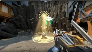 Sentinels of light skin Finisher & melee VALORANT