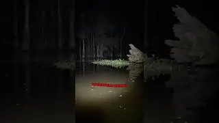 Church Bells in the WOODS???
