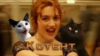 Kur-Kur – Котент | Котики поют, кружатся танцуют и падают