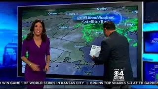 Spider Interrupts WBZ-TV Weather Forecast