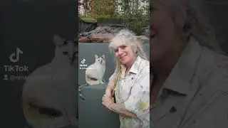 Painting outside and inside.