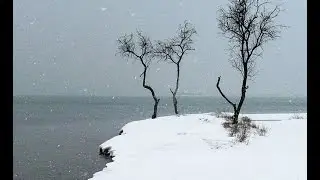 СП 