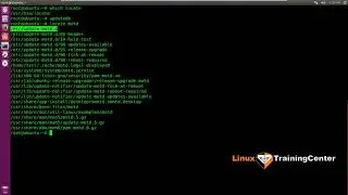 1.10 Поиск файлов locate и find | Linux для начинающих