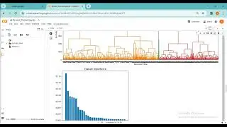 Breast Cancer Diagnosis Method Based on VIM Feature Selection and Hierarchical Clustering Random