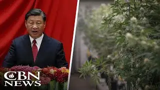 Chinese Investors with Suitcases Full of Cash Buying US Farmland to Grow Black Market Weed