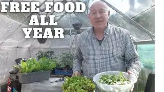 Grow Free Food All Year [Gardening Allotment UK] [Grow Vegetables At Home ]