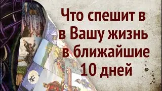 Что спешит в Вашу жизнь в ближайшие 10 дней✅ Таро прогноз/ Гадание на будущее@diamondway