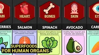 Superfoods For Human Organs | Best Foods For Human Body Parts