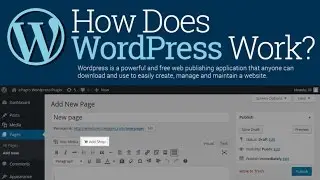 How Does WordPress Work?