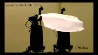 Dynamic Cloth Folding