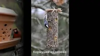 Оригинальные кормушки для птиц своими руками: 7 идей кормушек