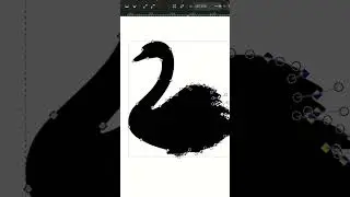 Black Swan Poster Design #graphicdesign #art #design