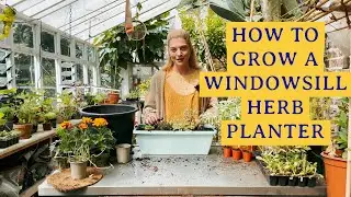 How to plant a windowsill herb planter