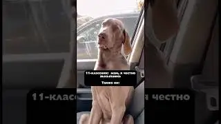 Не высыпаюсь #егэ #егэхимия #11класс