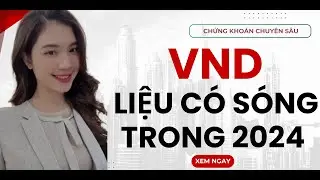 CỔ PHIẾU VND - LIỆU CÓ SÓNG TRONG 2024