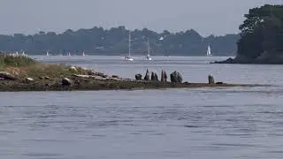 France Bretagne Golfe de  Morbihan