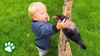 Toddler And Crow Are Best Friends