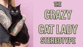 How the Crazy Cat Lady Stereotype Hurts Cats (and People.)