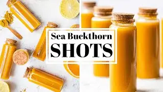 The Best Wellness Shot for Cold Season | Immune Boosting Sea Buckthorn Shots Recipe