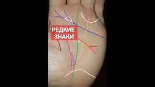 ТЕУГОЛЬНИК ХИРОМАНТА #palmistry #хиромантия #shorts #short