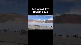 live update Leh Manali 2024 - frozen pangong #funny #travel #leh #roadcondition #lehladakh