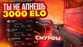 СМУРФЫ ЧУДОВИЩА БУСТЯТ 3.000 ELO FACEIT...