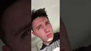 Научил дикую Чайку Нажимать на Кнопку. - Чайка Стивен - 