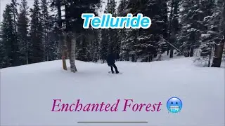 Enchanted Forest Telluride CO