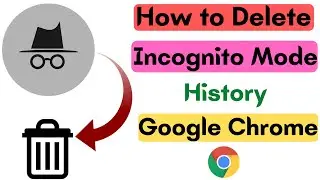 How to Delete Incognito History on Google Chrome | PC & Laptop