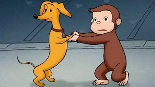 George and Hundley 🐵 Cutest Moments Together 🐵 Funny Cartoon For Kids