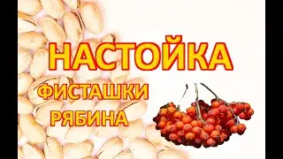 Настойка на фисташковой скорлупе и рябине