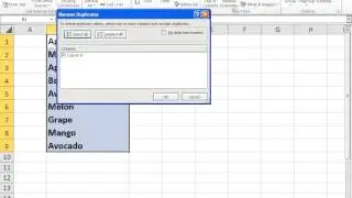 How to Remove Duplicates in Excel 2010