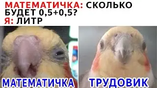 Лютые приколы и МЕМЫ. МАТЕМАТИЧКА: СКОЛЬКО БУДЕТ 0,5 + 0,5. Я: ЛИТР